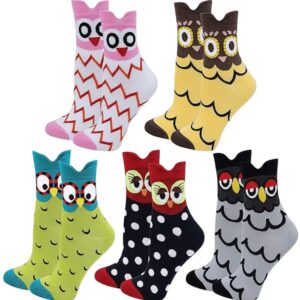 Owl Eyes Sock Collection